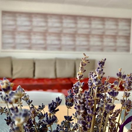 Grinda House - City Center Park And Stay Braşov Eksteriør bilde