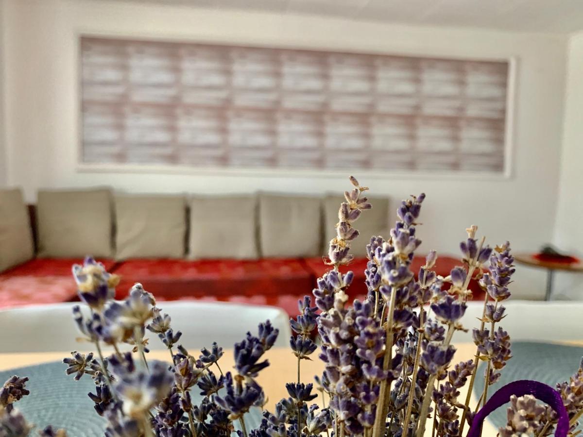 Grinda House - City Center Park And Stay Braşov Eksteriør bilde