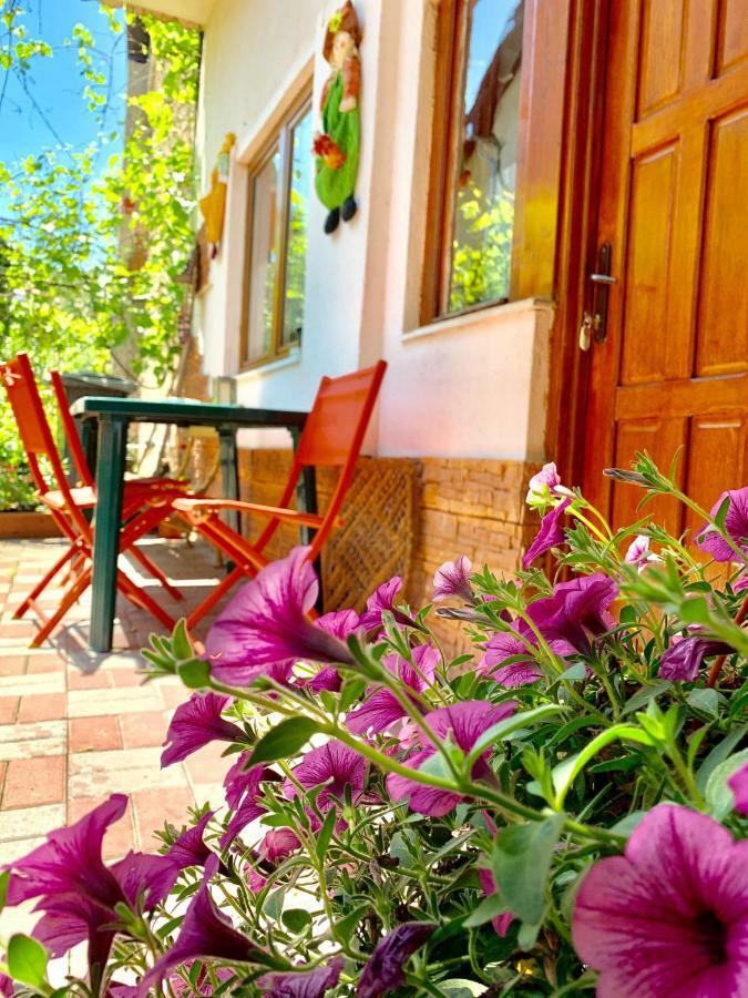 Grinda House - City Center Park And Stay Braşov Eksteriør bilde